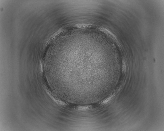 X0000070400405200606231807