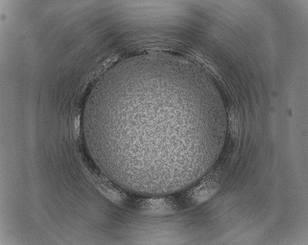 X0000070400406200606231807