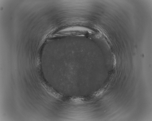 X0000070400407200606231807