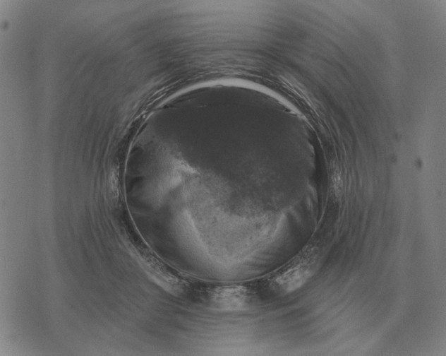 X0000070400410200606231807