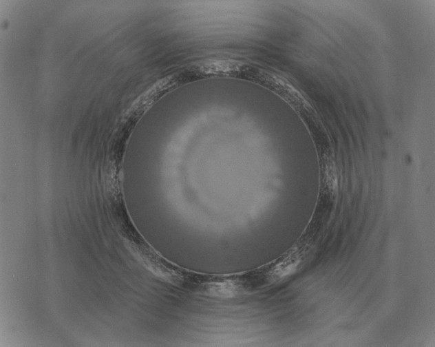 X0000070400411200606231807