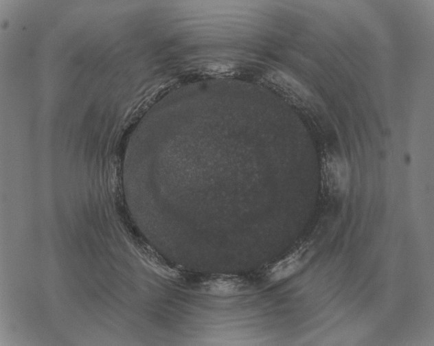 X0000070400412200606231807