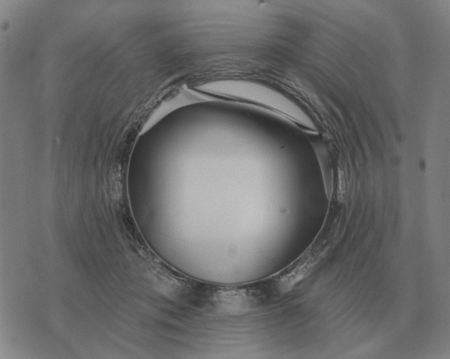 X0000070400413200606231807