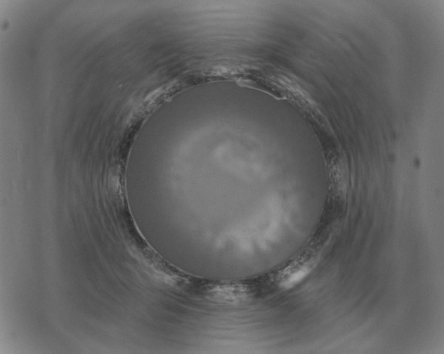 X0000070400415200606231807