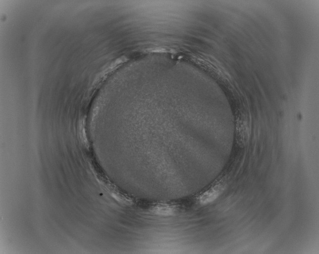 X0000070400416200606231807