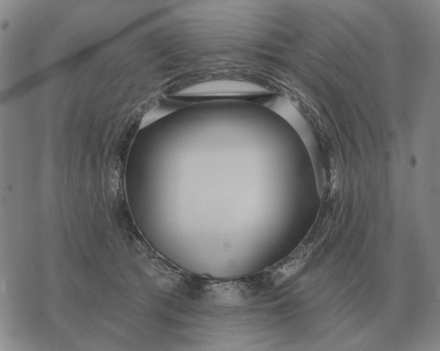 X0000070400417200606231807