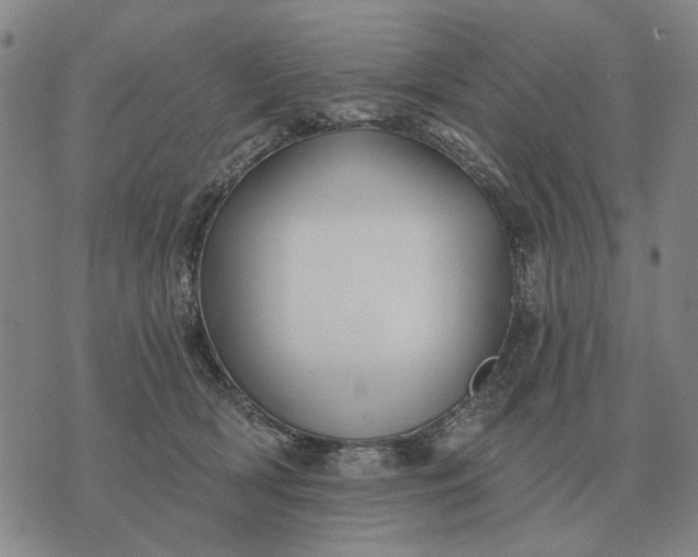 X0000070400418200606231807