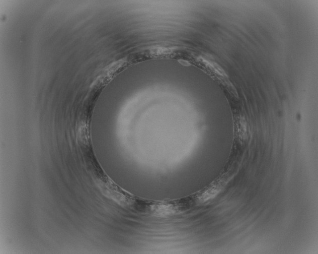 X0000070400419200606231807