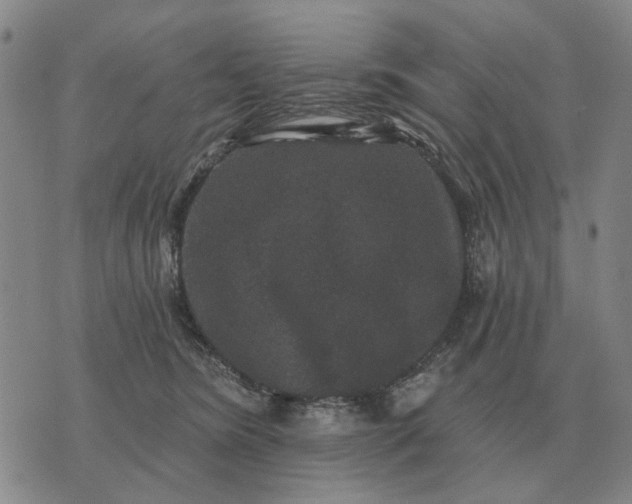 X0000070400420200606231807