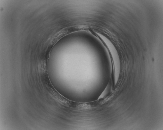 X0000070400421200606231807