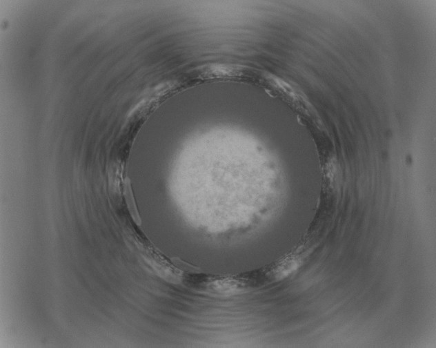 X0000070400423200606231807