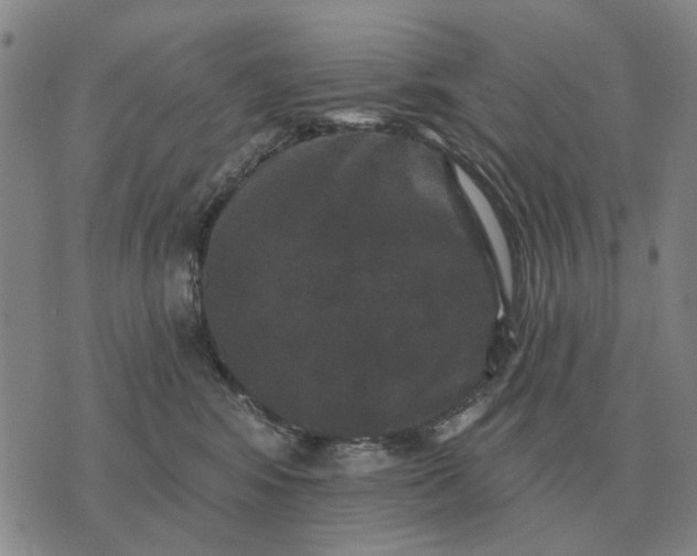 X0000070400424200606231807