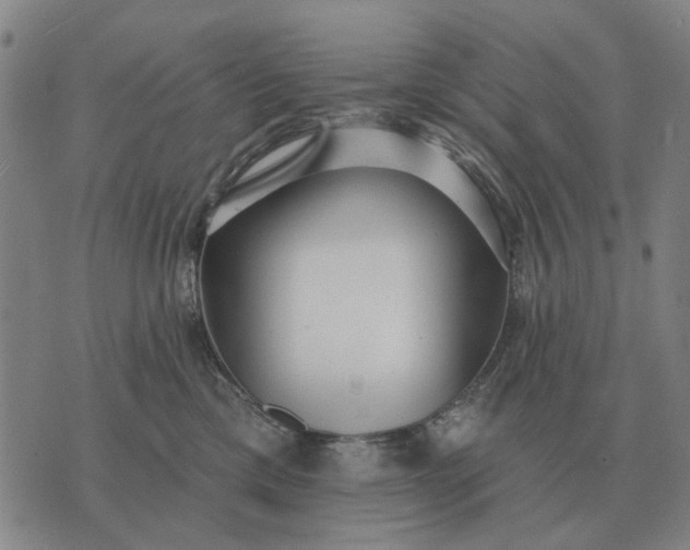 X0000070400425200606231807