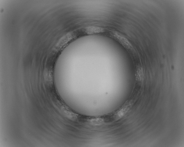 X0000070400426200606231807