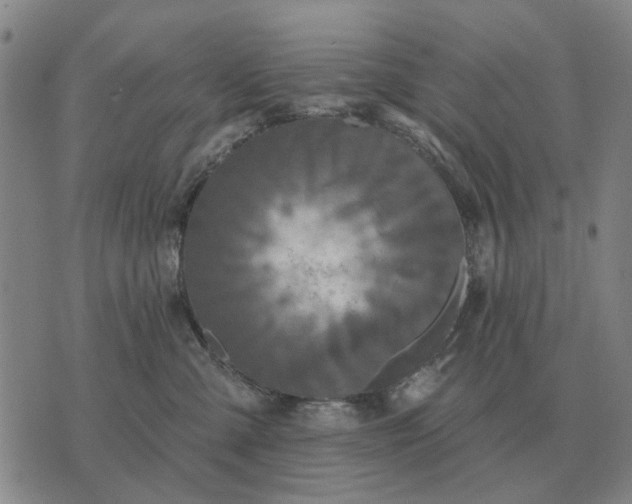 X0000070400427200606231807