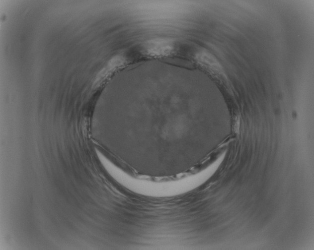 X0000070400428200606231807