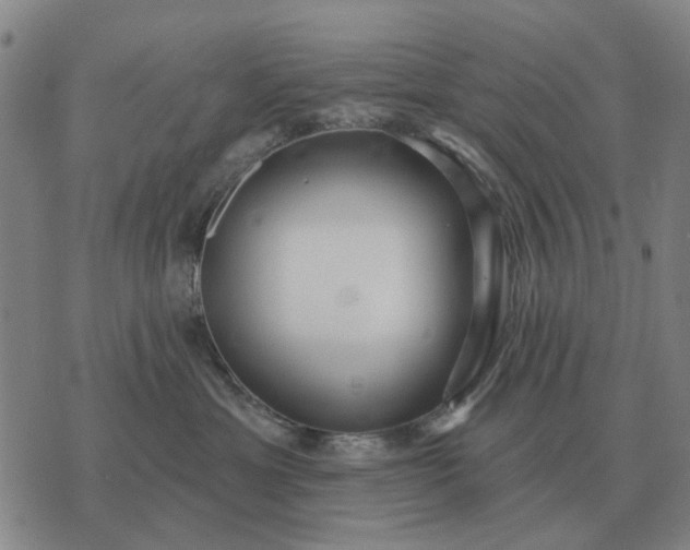 X0000070400429200606231807