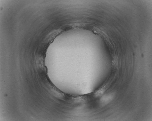 X0000070400430200606231807