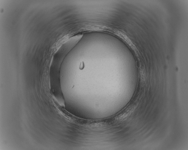 X0000070400433200606231806