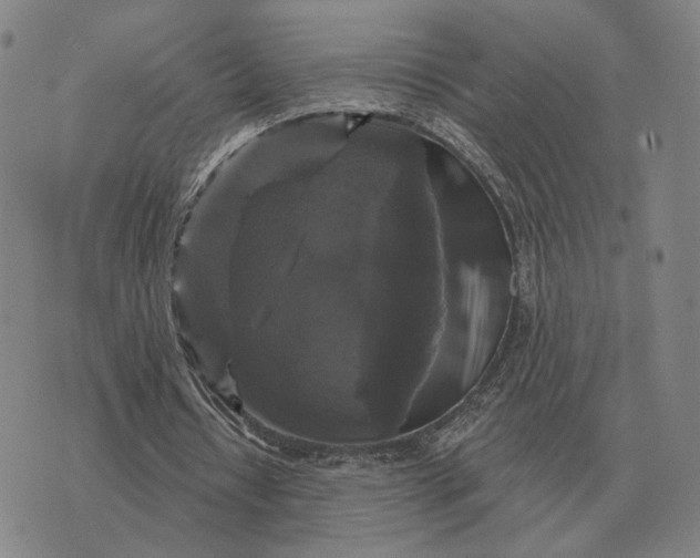 X0000070400434200606231806