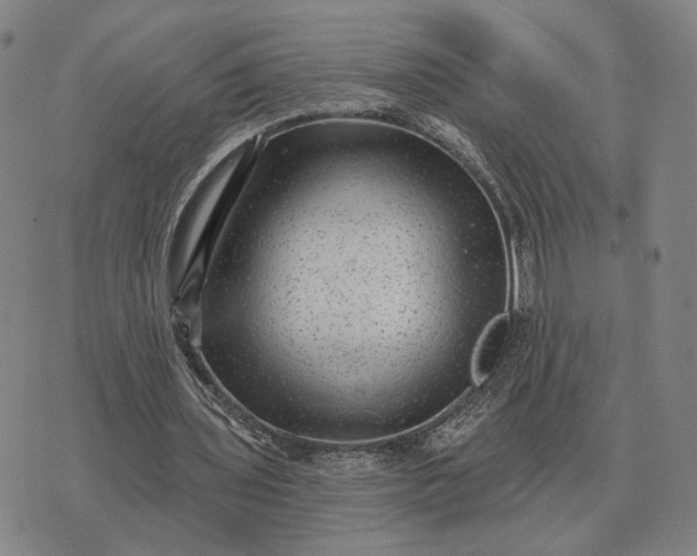 X0000070400435200606231806