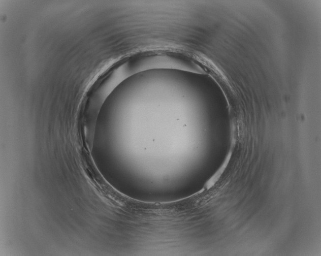 X0000070400436200606231806