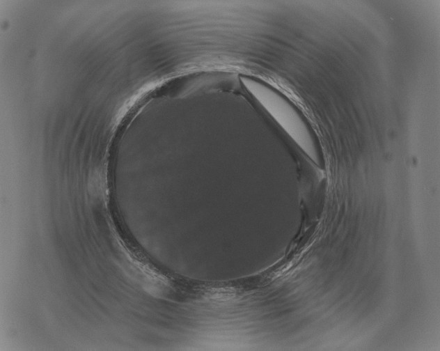 X0000070400438200606231806