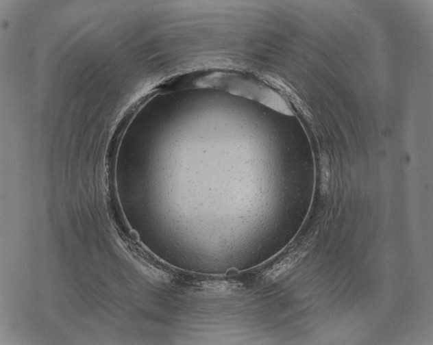 X0000070400439200606231806