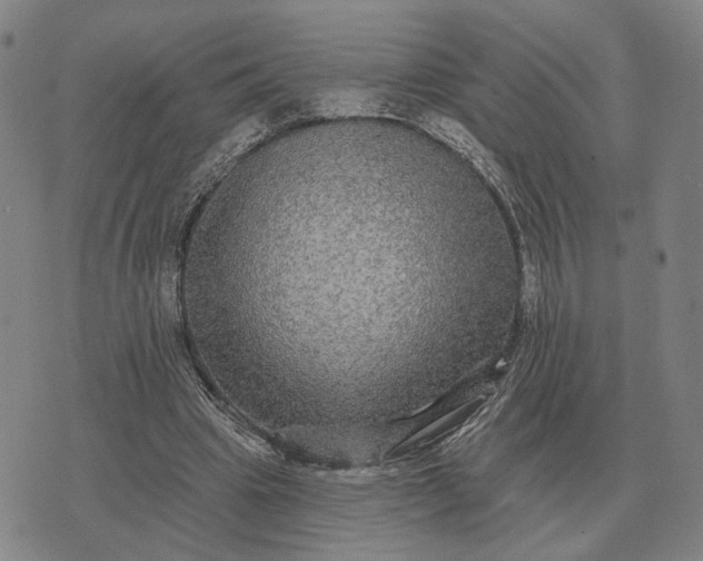 X0000070400441200606231806