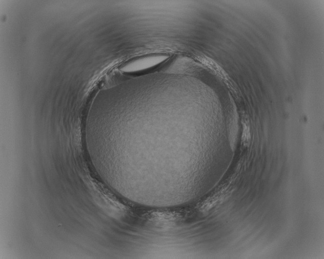 X0000070400442200606231806