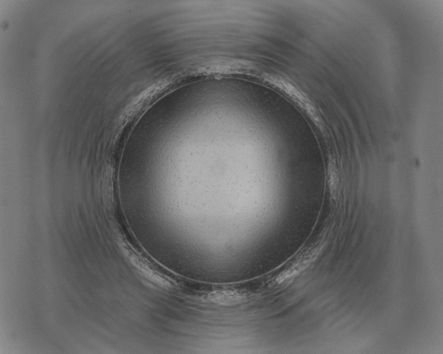 X0000070400445200606231806