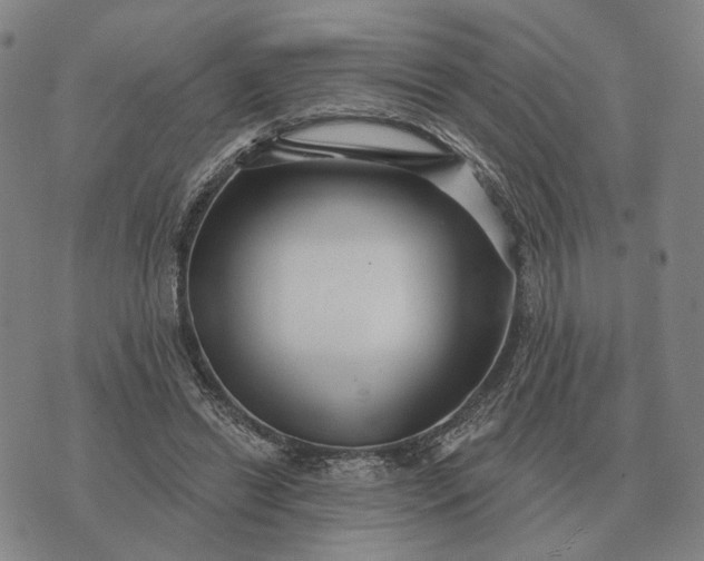 X0000070400446200606231806