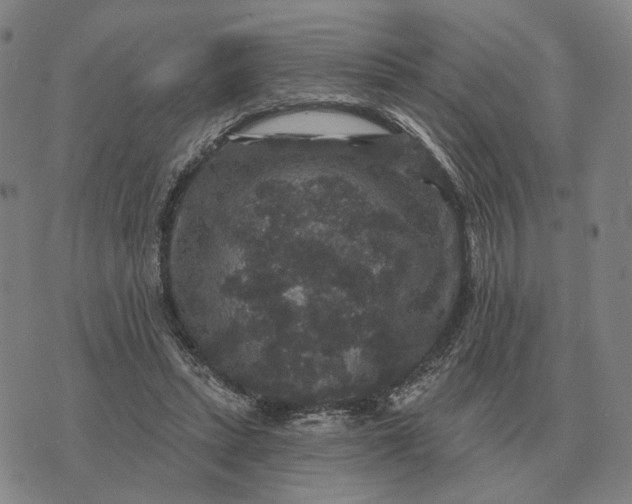 X0000070400447200606231806