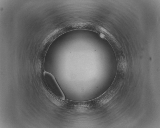 X0000070400448200606231806