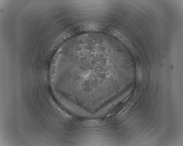 X0000070400449200606231806