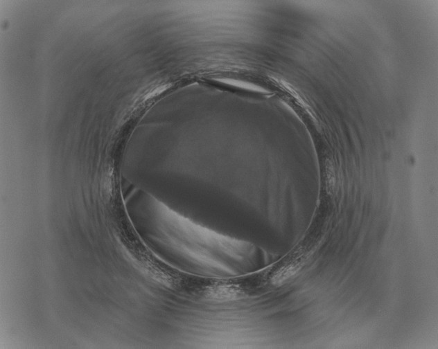 X0000070400451200606231806