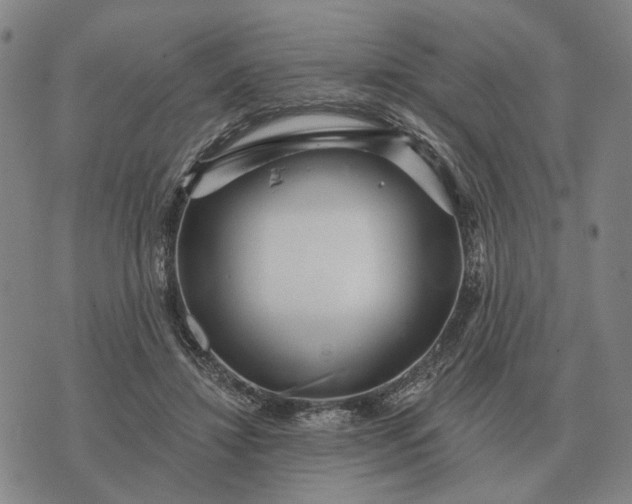 X0000070400452200606231807