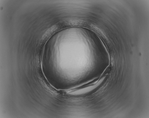 X0000070400453200606231807