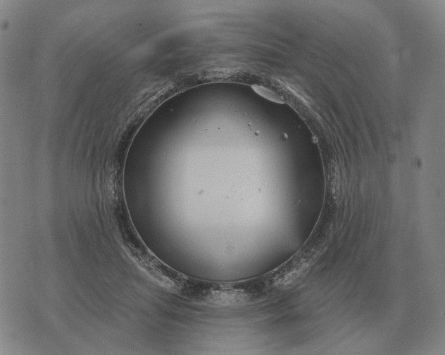 X0000070400455200606231807