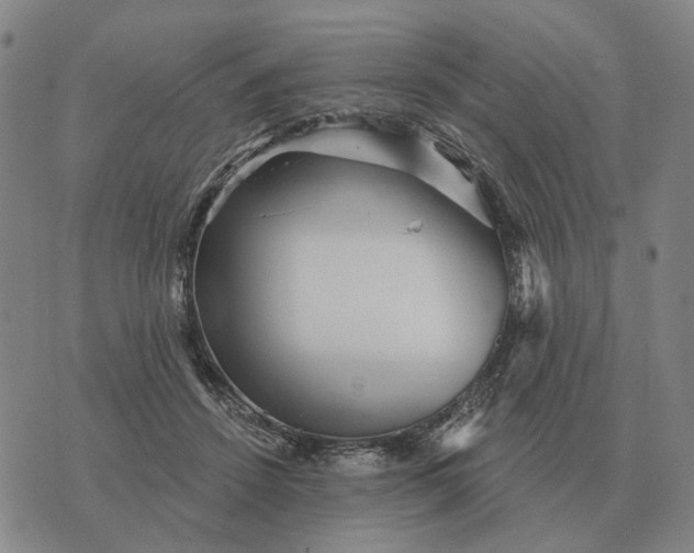 X0000070400456200606231807