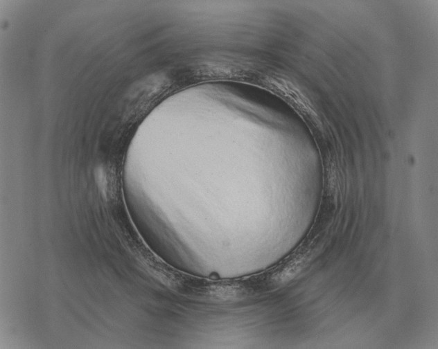 X0000070400457200606231807