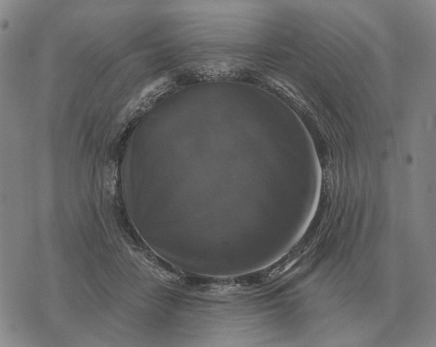 X0000070400458200606231807