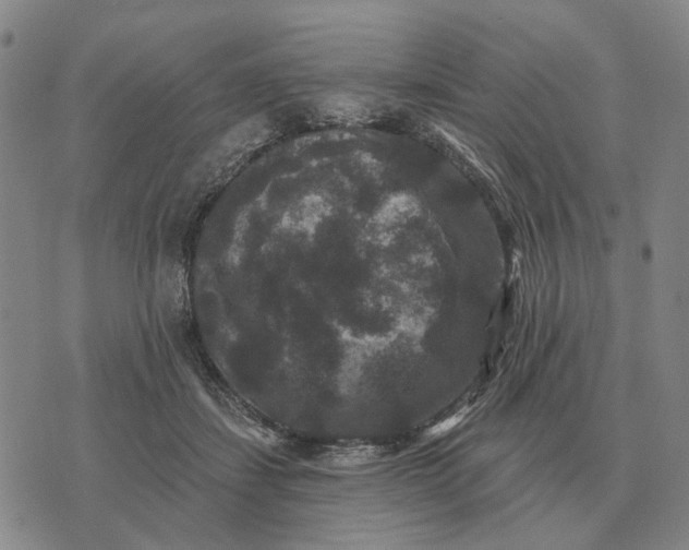 X0000070400459200606231807