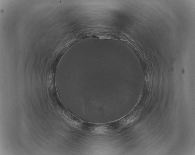 X0000070400462200606231807