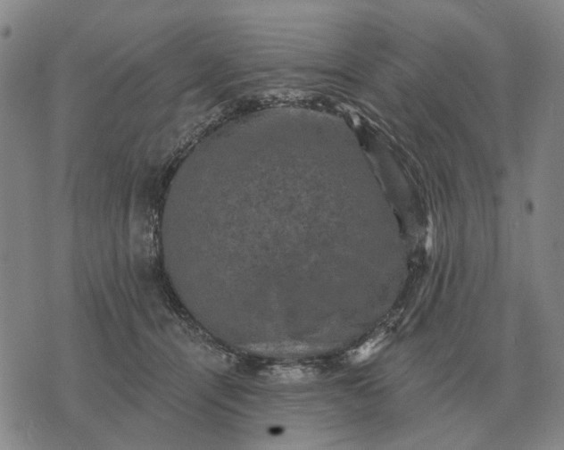 X0000070400464200606231807