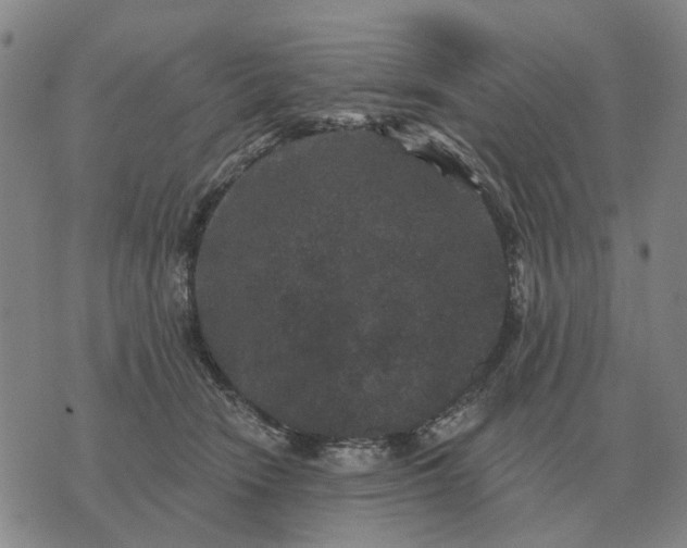 X0000070400466200606231807