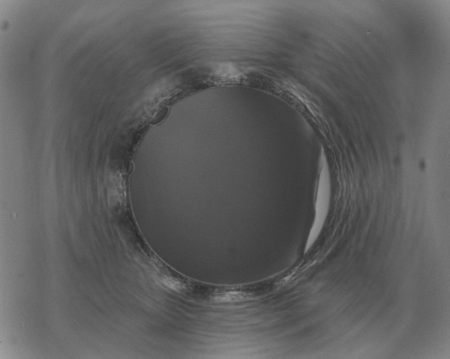 X0000070400467200606231807