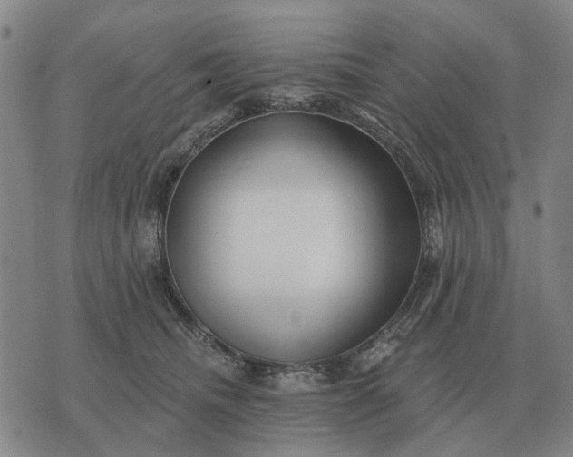 X0000070400468200606231807