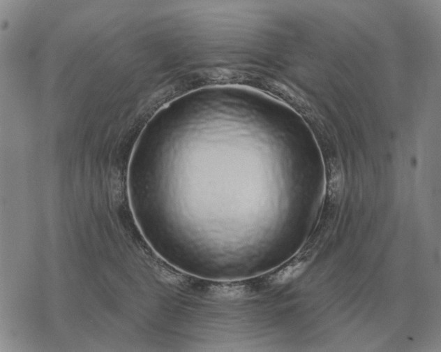 X0000070400469200606231807