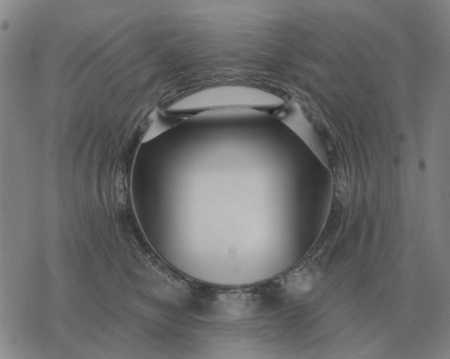 X0000070400470200606231807